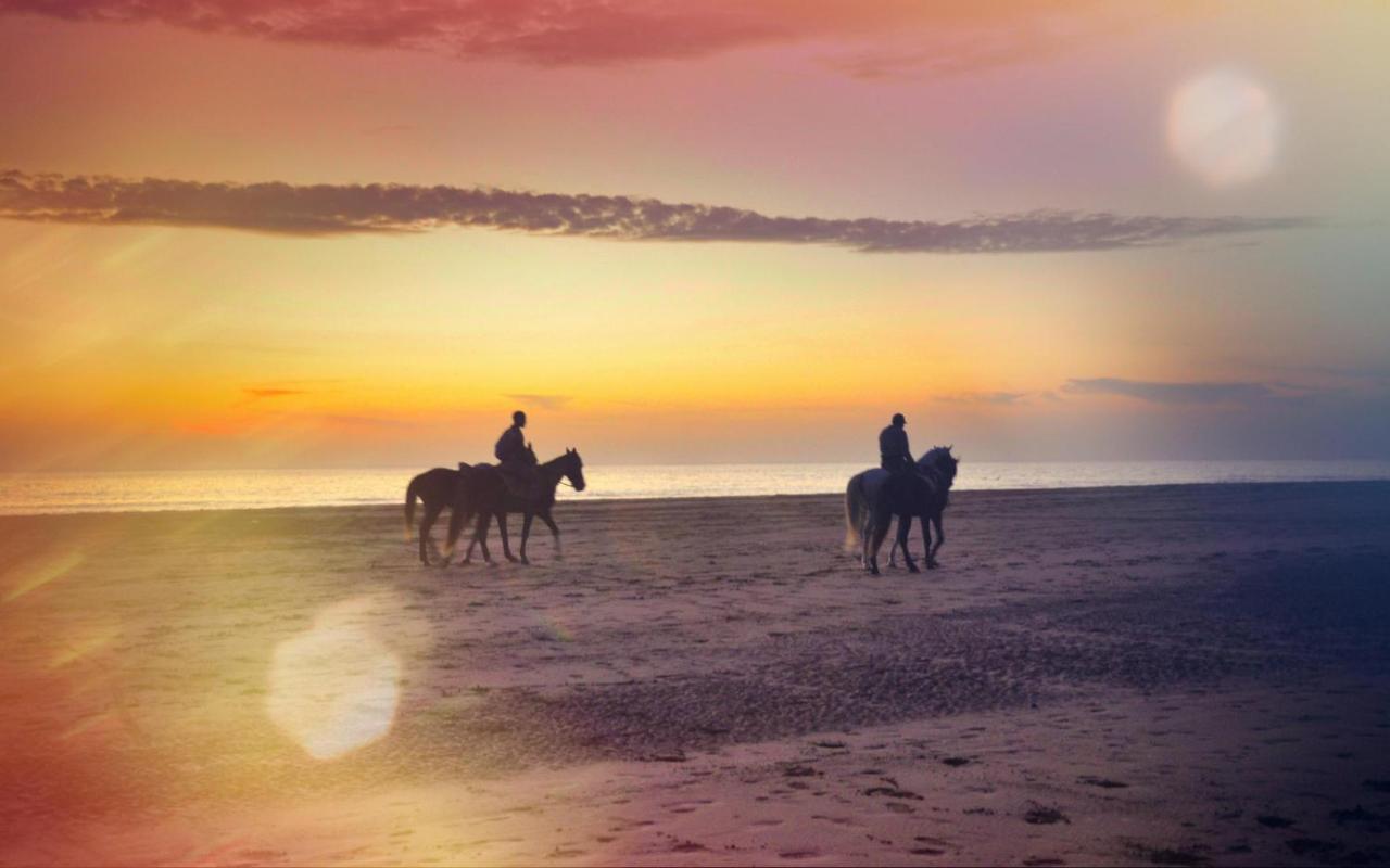 Blue Wave Lodge Agadir n'Ait Sa Экстерьер фото